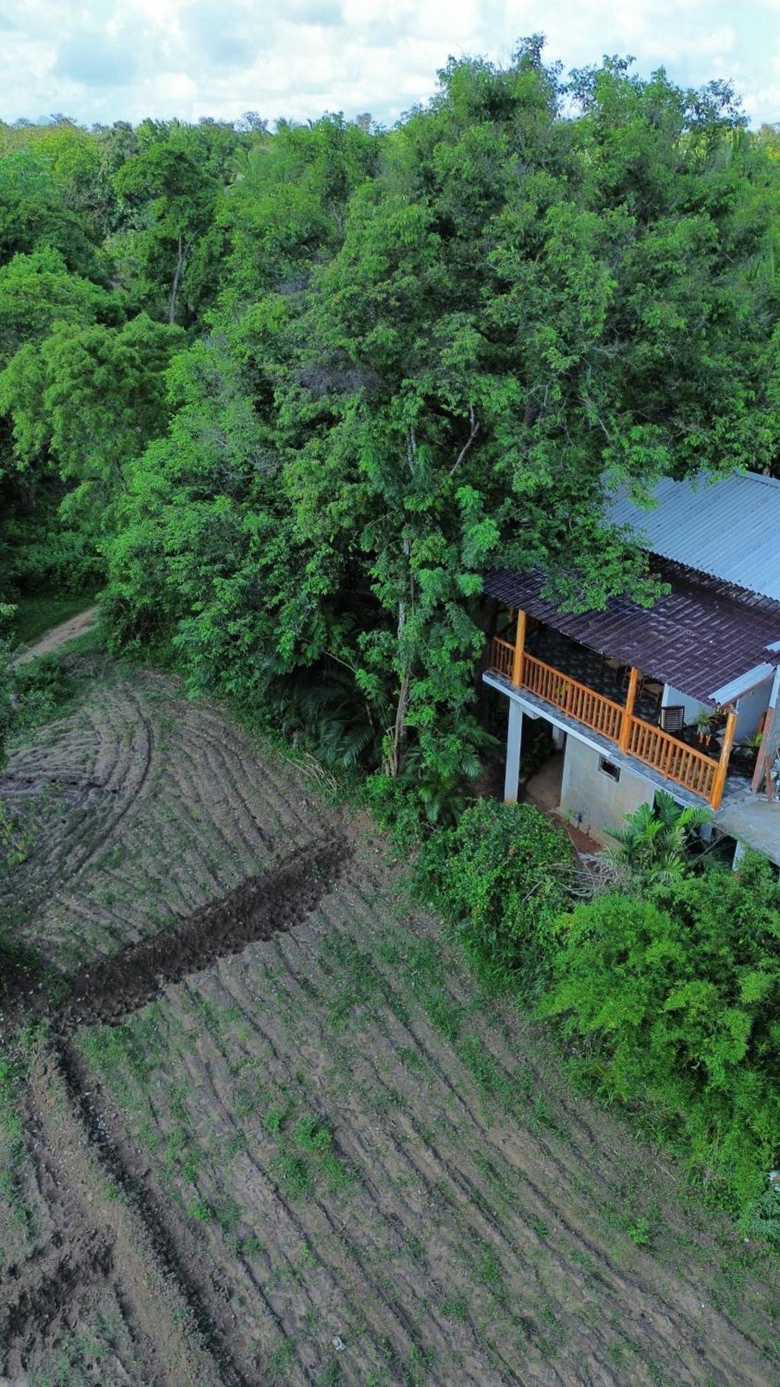 Sigiri Dilu Villa Sigiriya Exteriér fotografie