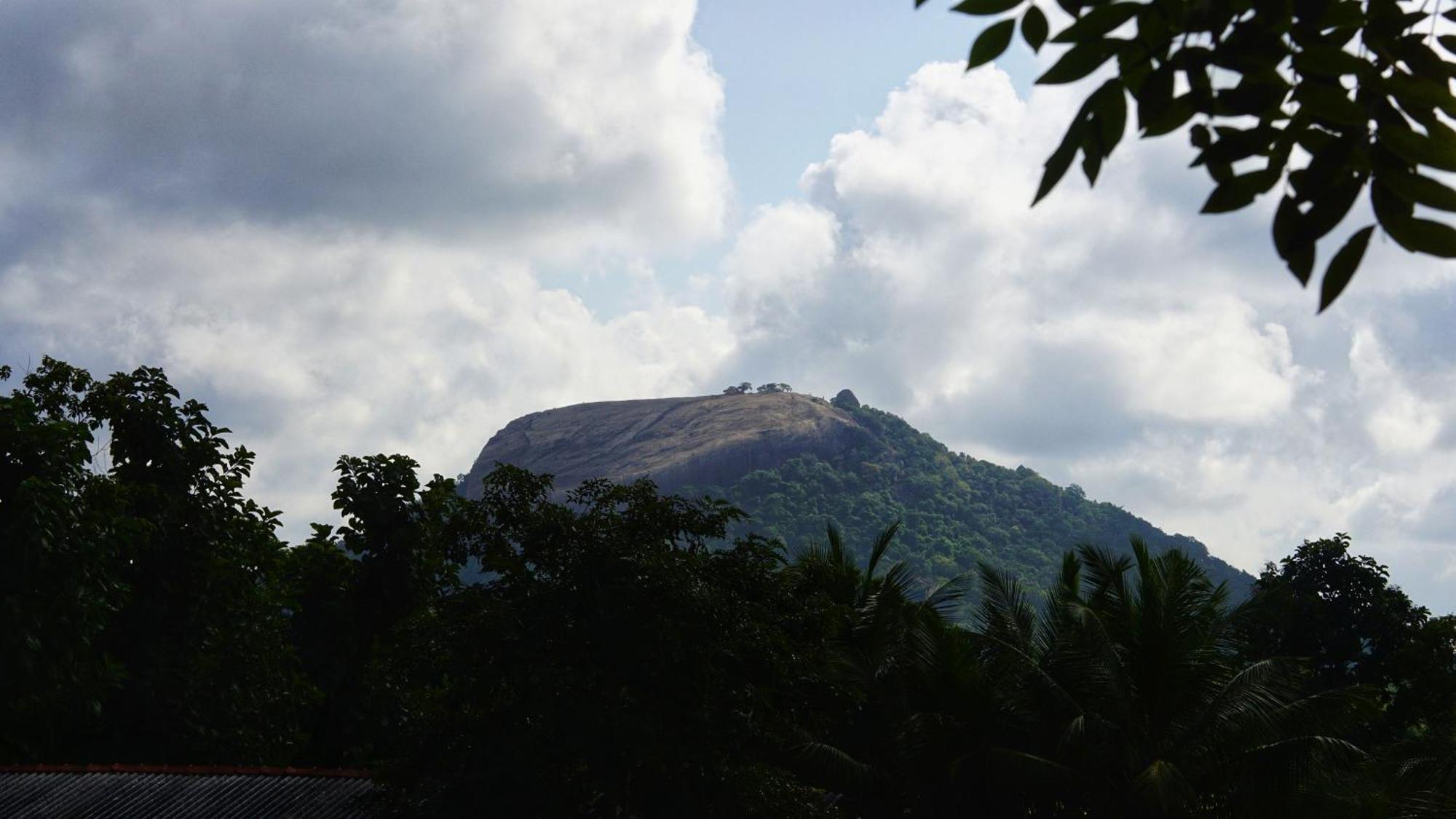 Sigiri Dilu Villa Sigiriya Exteriér fotografie