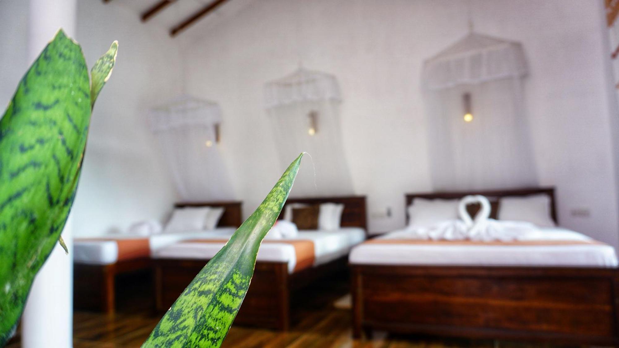Sigiri Dilu Villa Sigiriya Exteriér fotografie