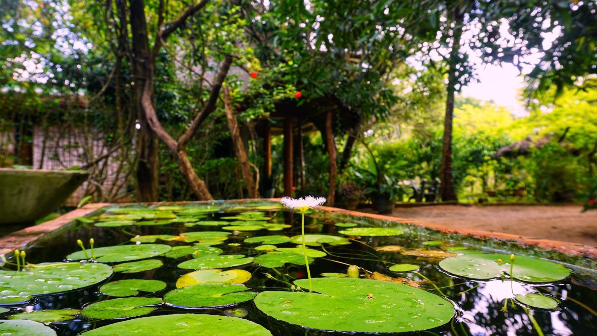 Sigiri Dilu Villa Sigiriya Exteriér fotografie